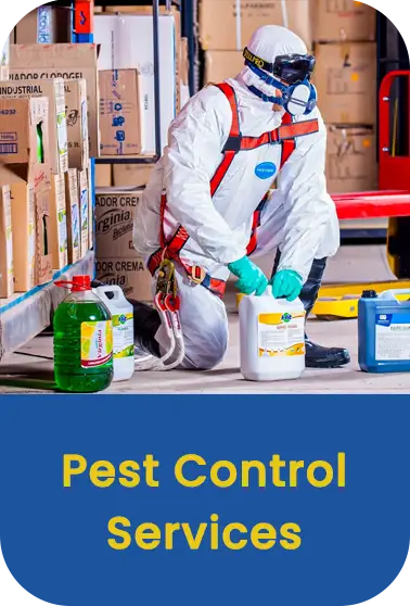 pest control services